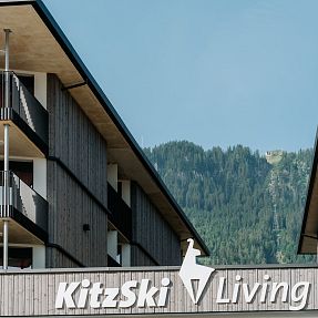 kitzski-living-david-hofer0-9